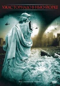 Постер к Ужас торнадо в Нью-Йорке бесплатно