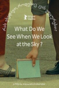 Постер к Что мы видим, когда смотрим на небо? бесплатно