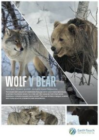 Постер к Волк против медведя бесплатно