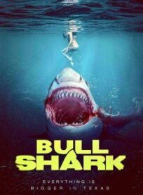 Постер к Бычья акула бесплатно