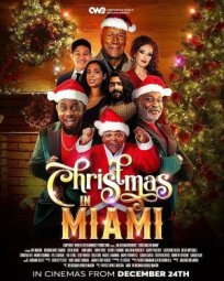 Постер к Рождество в Майами бесплатно