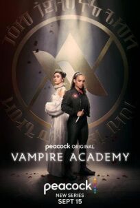 Постер к Академия вампиров бесплатно
