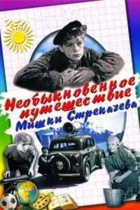 Постер к Необыкновенное путешествие Мишки Стрекачева бесплатно