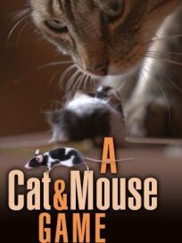 Постер к Игра в кошки-мышки бесплатно