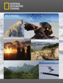 Постер к Дикая природа России бесплатно