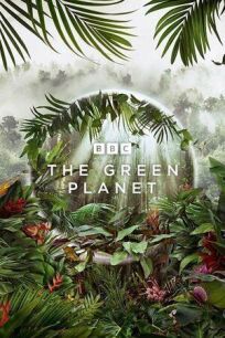 Постер к Зелёная планета бесплатно