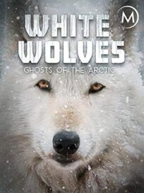 Постер к Белые волки: Призраки Арктики бесплатно