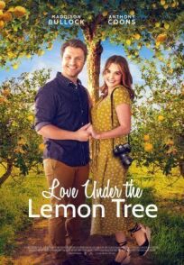 Постер к Любовь под лимонным деревом бесплатно