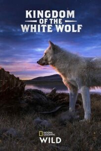 Постер к Королевство белого волка бесплатно