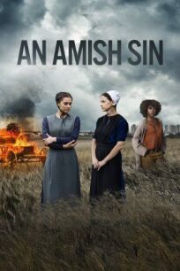 Постер к Грех амишей бесплатно