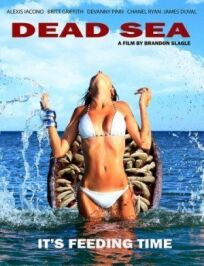 Постер к Мёртвое море бесплатно