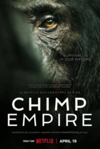 Постер к Империя шимпанзе бесплатно
