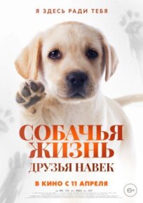 Постер к Собачья жизнь: Друзья навек бесплатно