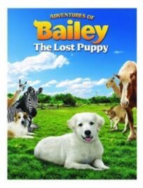 Постер к Приключения Бэйли: Потерянный щенок бесплатно