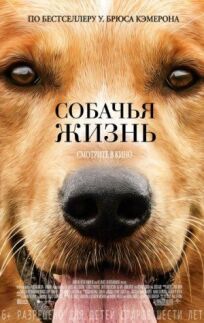 Постер к Собачья жизнь бесплатно