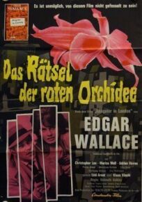Постер к Тайна красной орхидеи бесплатно