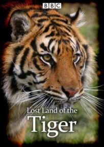 В поисках последнего тигра