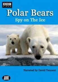 Постер к Белый медведь: Шпион во льдах бесплатно