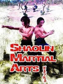 Постер к Боевые искусства Шаолиня бесплатно