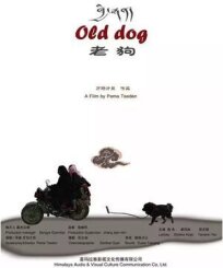 Старый пёс