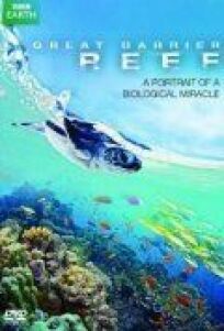 Постер к Большой барьерный риф бесплатно