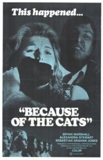 Постер к Из-за кошек бесплатно
