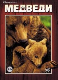 Постер к Медведи бесплатно
