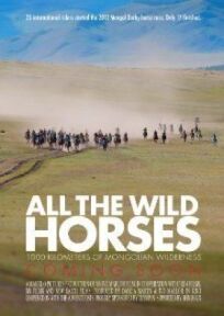Постер к All the Wild Horses бесплатно