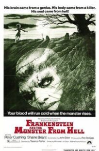 Постер к Франкенштейн и монстр из ада бесплатно