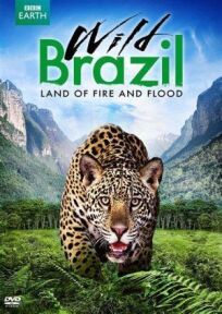 Постер к Дикая Бразилия бесплатно