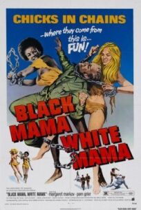 Постер к Черная мама, белая мама бесплатно