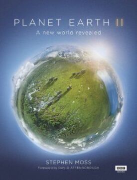 Постер к Планета Земля 2 бесплатно