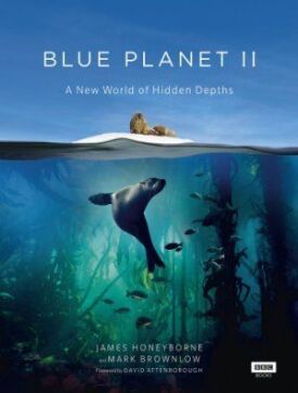 Постер к Голубая планета 2 бесплатно