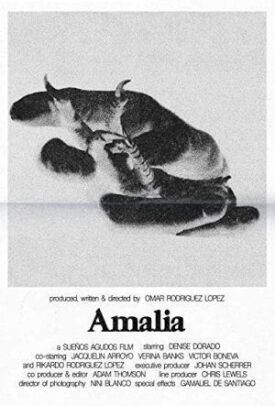 Постер к Амалия бесплатно