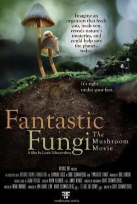 Постер к Фантастические грибы бесплатно
