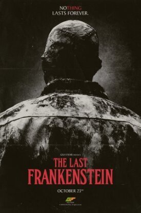 Постер к Последний Франкенштейн бесплатно
