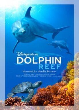 Постер к Дельфиний риф бесплатно