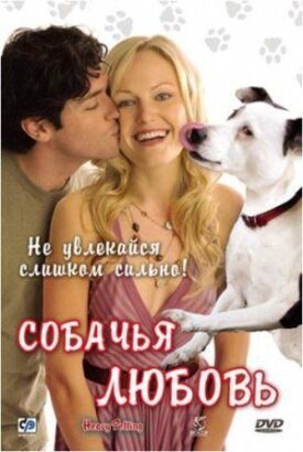 Постер к Собачья любовь бесплатно