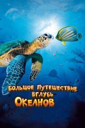 Постер к Большое путешествие вглубь океанов 3D бесплатно