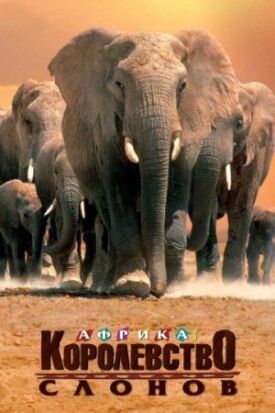 Постер к Африка – королевство слонов бесплатно