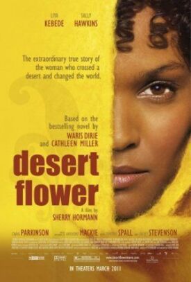 Постер к Цветок пустыни бесплатно