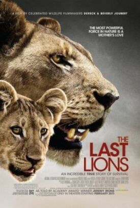 Постер к Последние львы бесплатно