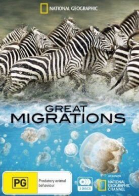 Постер к Великие миграции бесплатно