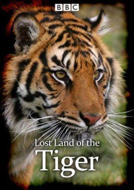 Постер к В поисках последнего тигра бесплатно