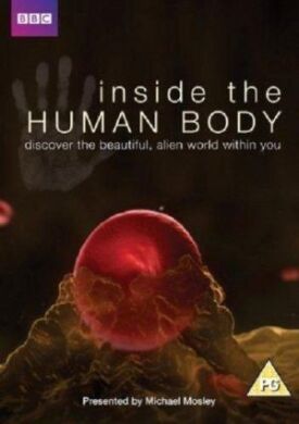 Постер к Внутри человеческого тела бесплатно