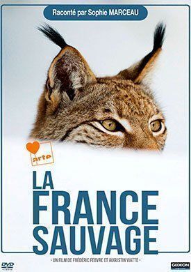 Постер к Дикая Франция бесплатно