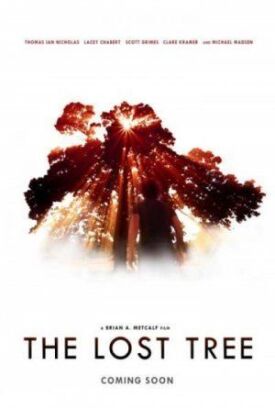 Постер к Потерянное дерево бесплатно