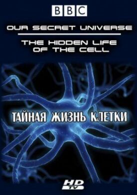 Постер к Внутренняя вселенная: Тайная жизнь клетки бесплатно