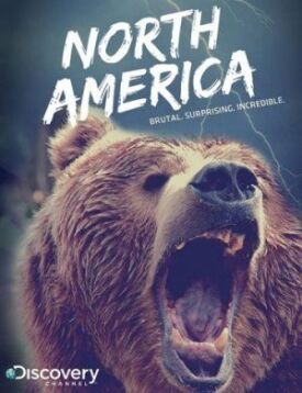 Постер к Discovery: Северная Америка бесплатно