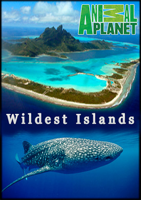 Постер к Неизведанные острова бесплатно